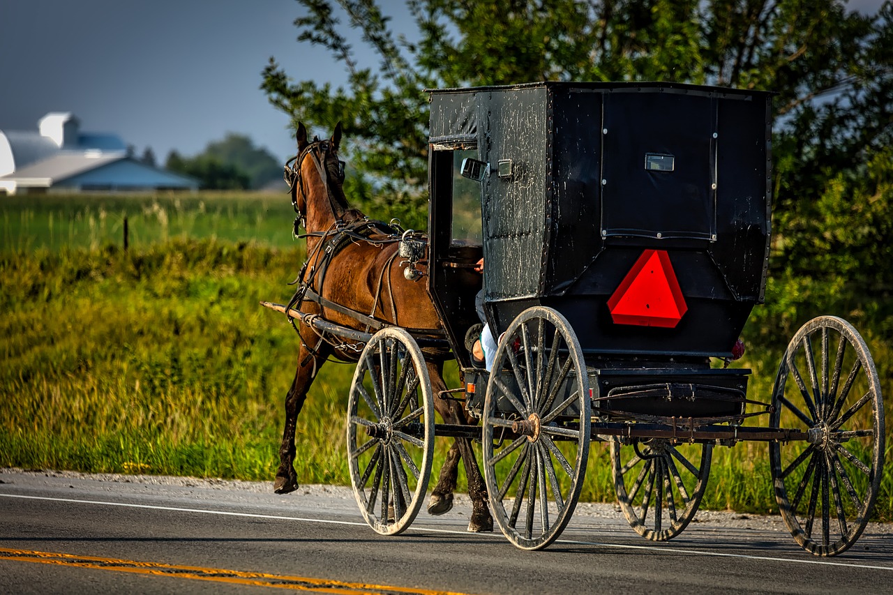 You are currently viewing What Can We Learn from Our Amish Neighbors?