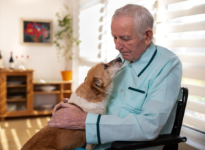 Read more about the article Is a Pet the Right Choice for Your Aging Parent?