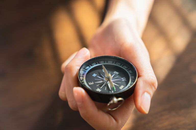 Read more about the article Your Nurse Advocate Now: Discovering the Compass of Healthcare Support with a Nurse in Your Back Pocket