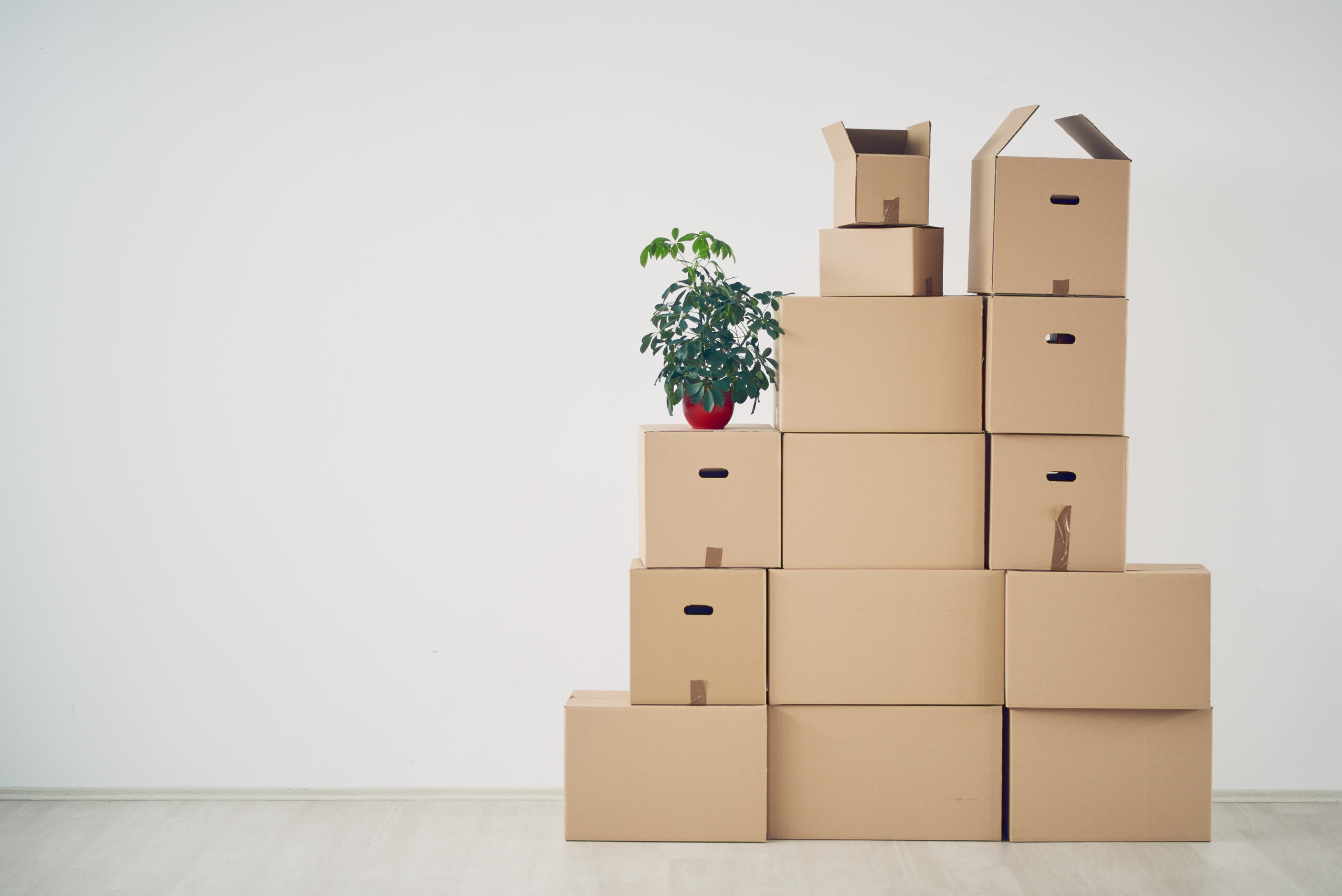 You are currently viewing Life Reduced to Boxes: The Journey of Sorting Through a Loved One’s Belongings